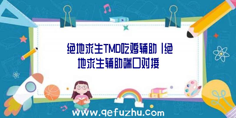 「绝地求生TMD吃鸡辅助」|绝地求生辅助端口对接